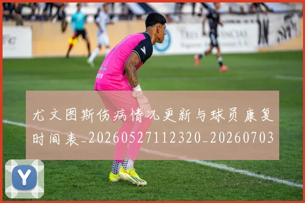 尤文图斯伤病情况更新与球员康复时间表_20260527112320_20260703233832_20260722151217